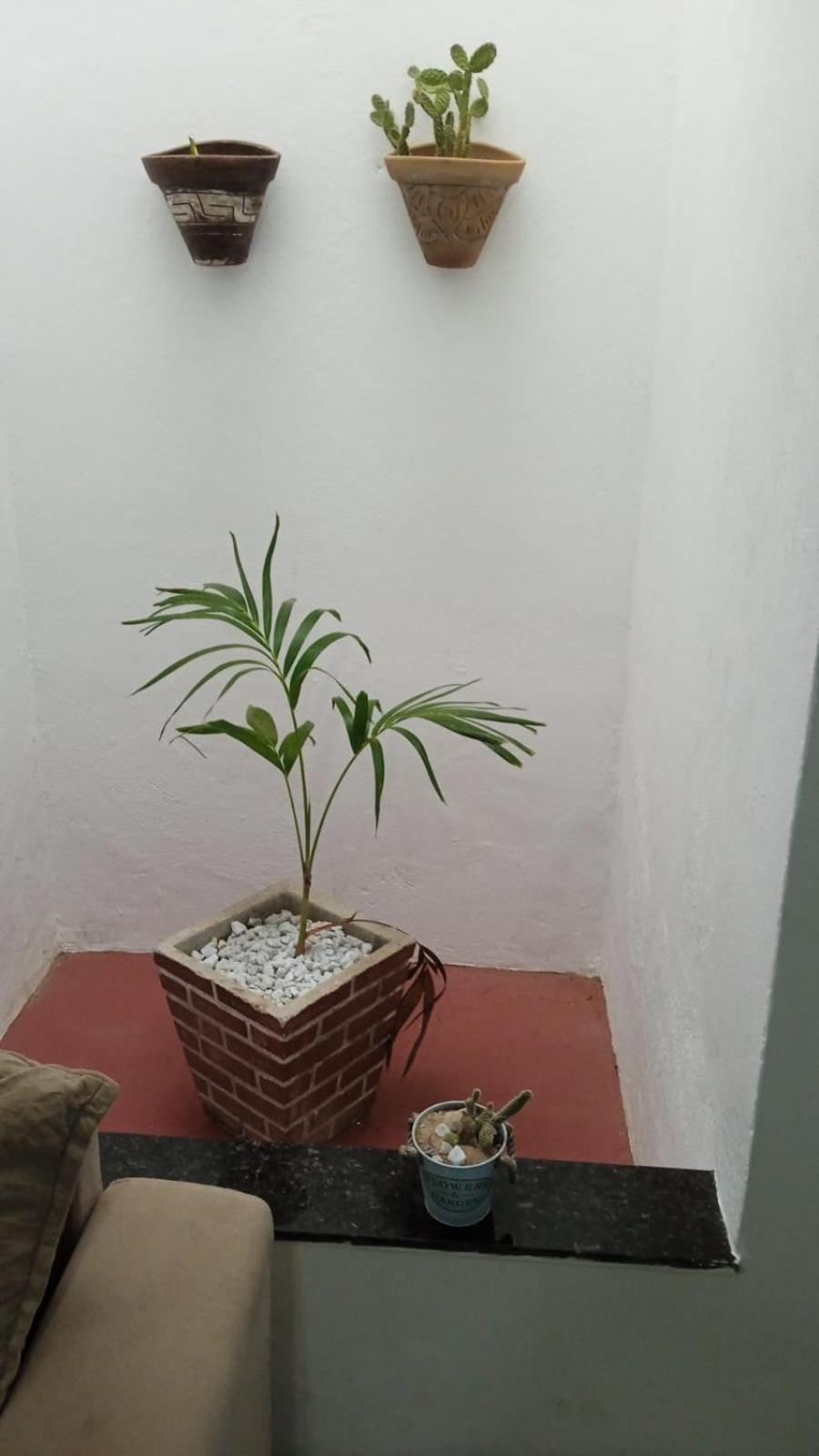 Casa Md Villa กาโมซิม ภายนอก รูปภาพ